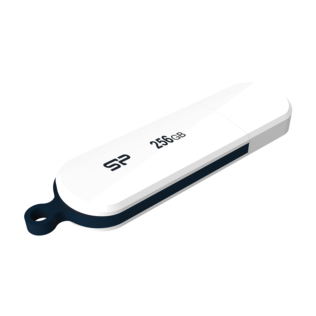 SP256GBUF3B32V1W_02