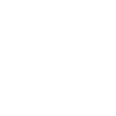 FILM PRODUCER