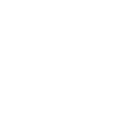 STREAMER