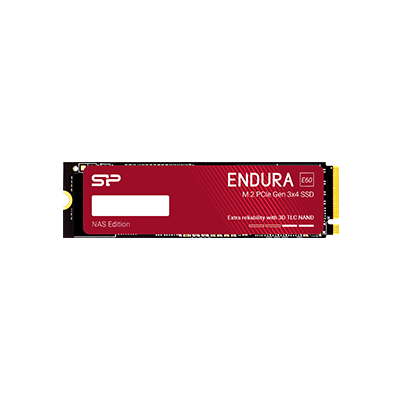 Endura NAS E60 SSD
