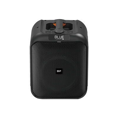 Portable Wireless Speaker BS602