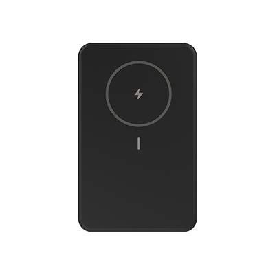 SP WP10 Power Bank