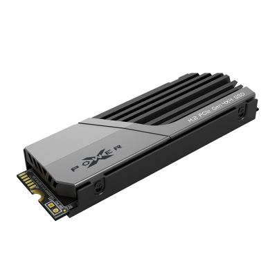 固態硬碟(SSD)