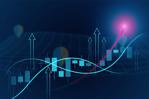 Investor Relations