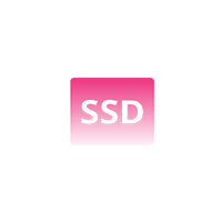 固態硬碟(SSD)