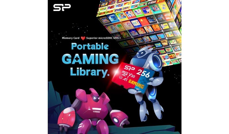 Your Collection, Anywhere: Portable Gaming Library